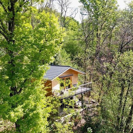 "La Romantica" Rifugio Nel Bosco Astano Ngoại thất bức ảnh