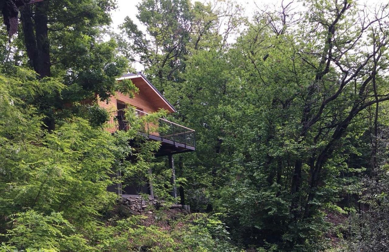 "La Romantica" Rifugio Nel Bosco Astano Ngoại thất bức ảnh